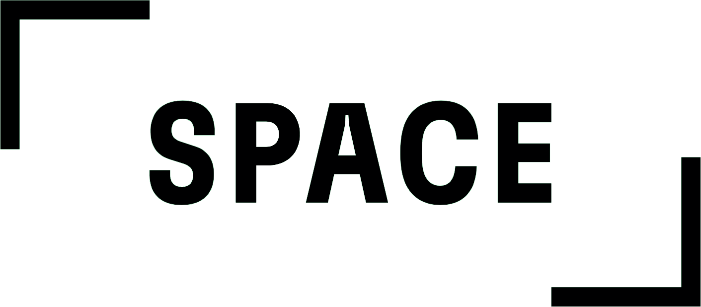 DYS Space logo